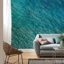 Komar Pure psh096-vd4 | Bestellen bij https://www.kleurmijninterieur.nl/