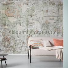 Komar Pure p030-vd3 | Bestellen bij https://www.kleurmijninterieur.nl/