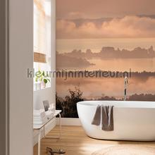 Komar Pure p031-vd3 | Bestellen bij https://www.kleurmijninterieur.nl/