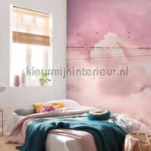 Komar Pure p017-vd4 | Bestellen bij https://www.kleurmijninterieur.nl/
