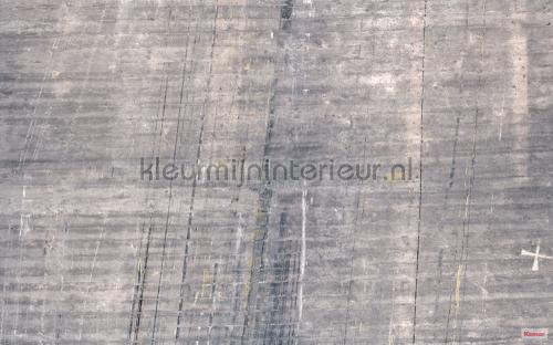 Komar Pure p744-vd4 | Bestellen bij https://www.kleurmijninterieur.nl/