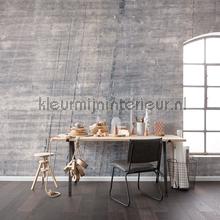 Komar Pure p744-vd4 | Bestellen bij https://www.kleurmijninterieur.nl/