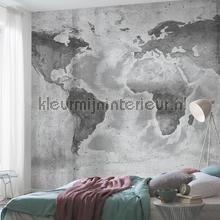 Komar Pure p039-vd5 | Bestellen bij https://www.kleurmijninterieur.nl/