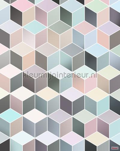 Komar Pure p027-vd2 | Bestellen bij https://www.kleurmijninterieur.nl/