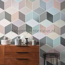 Komar Pure p027-vd2 | Bestellen bij https://www.kleurmijninterieur.nl/