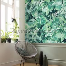 Komar Pure p023-vd2 | Bestellen bij https://www.kleurmijninterieur.nl/