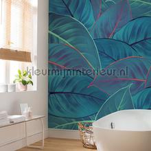 Komar Pure p026-vd2 | Bestellen bij https://www.kleurmijninterieur.nl/