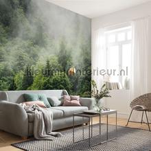 Komar Pure psh061-vd4 | Bestellen bij https://www.kleurmijninterieur.nl/