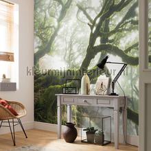 Komar Pure psh092-vd4 | Bestellen bij https://www.kleurmijninterieur.nl/