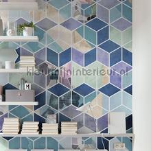 Komar Pure p024-vd2 | Bestellen bij https://www.kleurmijninterieur.nl/