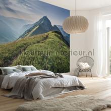 Komar Pure psh093-vd4 | Bestellen bij https://www.kleurmijninterieur.nl/