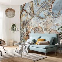 Komar Pure p032-vd4 | Bestellen bij https://www.kleurmijninterieur.nl/