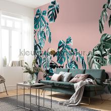 Komar Pure p016-vd4 | Bestellen bij https://www.kleurmijninterieur.nl/