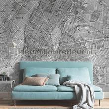 Komar Pure p033-vd2 | Bestellen bij https://www.kleurmijninterieur.nl/