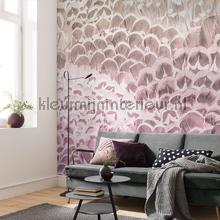 Komar Pure p028-vd2 | Bestellen bij https://www.kleurmijninterieur.nl/