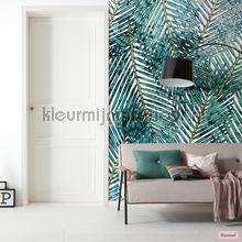 Komar Pure p025-vd2 | Bestellen bij https://www.kleurmijninterieur.nl/