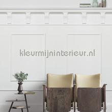 Komar Pure p022-vd2 | Bestellen bij https://www.kleurmijninterieur.nl/