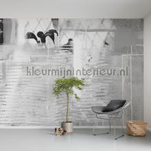 Komar Pure prh-0800 | Bestellen bij https://www.kleurmijninterieur.nl/