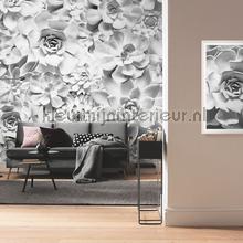 Komar Pure p962-vd4 | Bestellen bij https://www.kleurmijninterieur.nl/