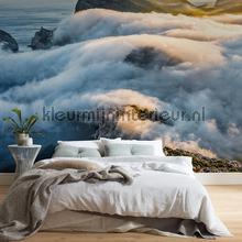 Komar Pure psh047-vd4 | Bestellen bij https://www.kleurmijninterieur.nl/