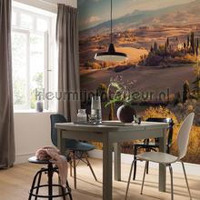 Komar Pure psh094-vd4 | Bestellen bij https://www.kleurmijninterieur.nl/