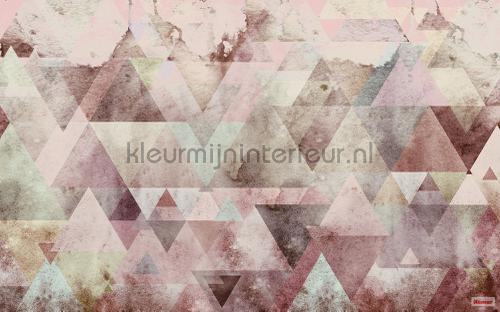 Komar Pure p018b-vd4 | Bestellen bij https://www.kleurmijninterieur.nl/