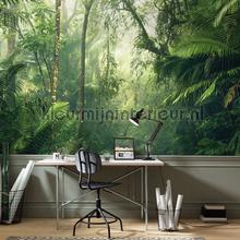 Komar Pure psh098-vd5 | Bestellen bij https://www.kleurmijninterieur.nl/
