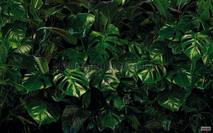 Komar Pure p333-vd4 | Bestellen bij https://www.kleurmijninterieur.nl/