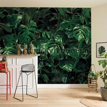 Komar Pure p333-vd4 | Bestellen bij https://www.kleurmijninterieur.nl/