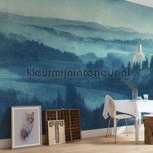 Komar Pure p010-vd4 | Bestellen bij https://www.kleurmijninterieur.nl/