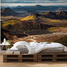 Komar Pure psh095-vd4 | Bestellen bij https://www.kleurmijninterieur.nl/