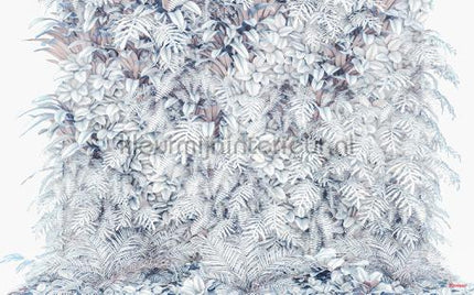 Komar Pure p878-vd4 | Bestellen bij https://www.kleurmijninterieur.nl/