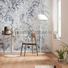 Komar Pure p878-vd4 | Bestellen bij https://www.kleurmijninterieur.nl/