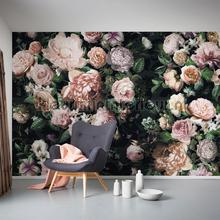 Komar Pure p6035a-vd4 | Bestellen bij https://www.kleurmijninterieur.nl/