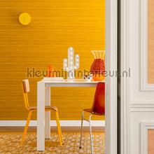 Elitis Soie changeante VP 928 61 | Bestellen bij https://www.kleurmijninterieur.nl/