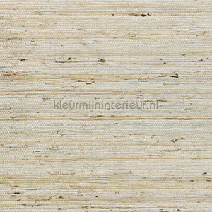 Arte Osmanthus 54540 | Bestellen bij https://www.kleurmijninterieur.nl/
