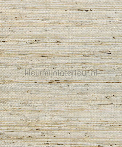 Arte Osmanthus 54540 | Bestellen bij https://www.kleurmijninterieur.nl/