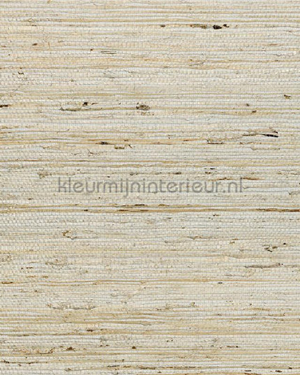 Arte Osmanthus 54540 | Bestellen bij https://www.kleurmijninterieur.nl/