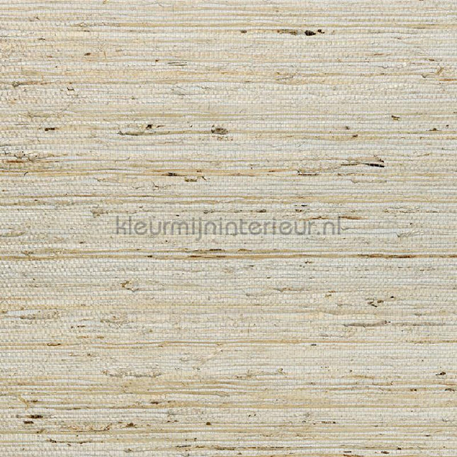 Arte Osmanthus 54540 | Bestellen bij https://www.kleurmijninterieur.nl/