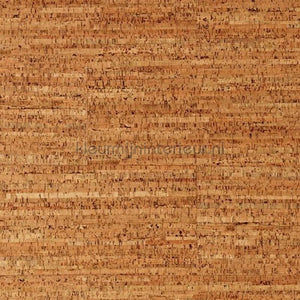 Noordwand Wandkurk 2098 | Bestellen bij https://www.kleurmijninterieur.nl/