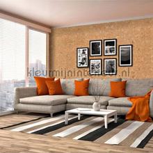 Noordwand Wandkurk 2099 | Bestellen bij https://www.kleurmijninterieur.nl/