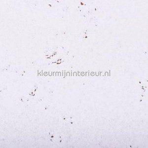 Noordwand Wandkurk 2096 | Bestellen bij https://www.kleurmijninterieur.nl/