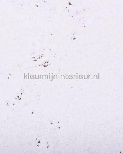 Noordwand Wandkurk 2096 | Bestellen bij https://www.kleurmijninterieur.nl/