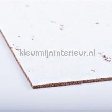 Noordwand Wandkurk 2096 | Bestellen bij https://www.kleurmijninterieur.nl/