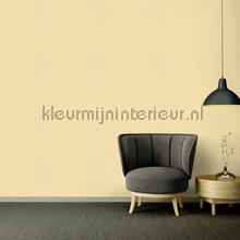 Versace wallpaper Versace 4 370507 | Bestellen bij https://www.kleurmijninterieur.nl/