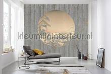 Komar RAW RSX6-036 | Bestellen bij https://www.kleurmijninterieur.nl/