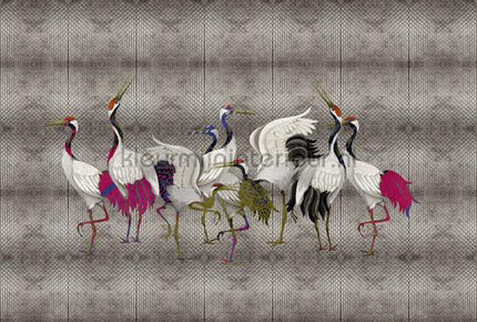 AS Creation Walls by Patel 3 DD122996 | Bestellen bij https://www.kleurmijninterieur.nl/