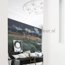 Dutch Wallcoverings Painted Memories 8005 | Bestellen bij https://www.kleurmijninterieur.nl/