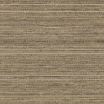 Collection image for: zwart