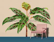 AS Creation Walls by Patel 3 DD121960 | Bestellen bij https://www.kleurmijninterieur.nl/